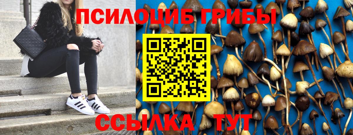 Псилоцибиновые грибы Magic Shrooms  Вход с VPN  закладка  Тамбов 